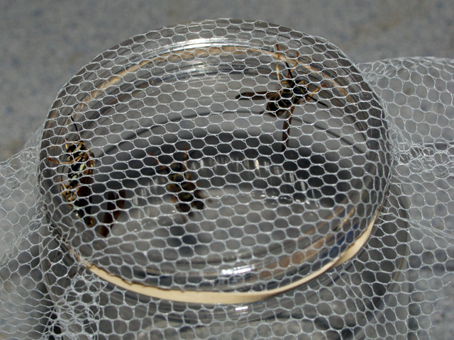 Hexagonally tessellated barrier