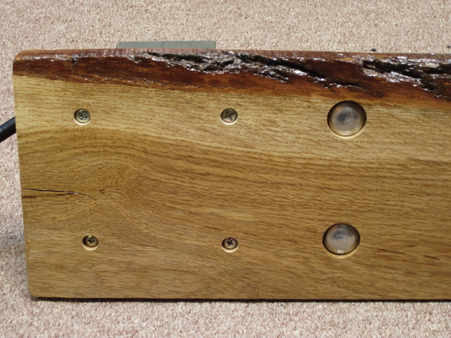 Bottom view
